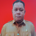 JOHAN WATTIMENA